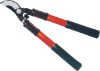 CT-98717---Garden shears
