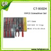 CT-99024--Screwdriver Set / Plier set