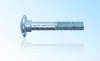 Carriage Bolt