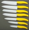 Chef knife set with flower handle