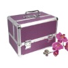 Clear Aluminum acrylic makeup box