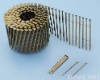 Coil Nail