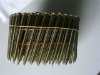 Coil Nail