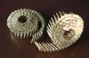 Coil Nail