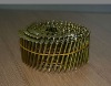 Coil Nail
