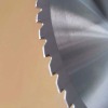 Cold saw blade