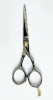 Colored Hair Scissor