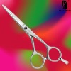 Convex Hairdressing Scissor Made Of Original HITACHI Steel(HSK74)