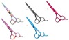 Convex Titanium color scissors