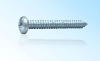 Cross Recessed Pan Head Tapping Screws