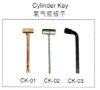 Cylinder key oxygen bottle spanner