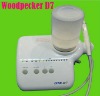 DTE dental ultrasonic piezo scaler D7