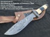 Damascus Steel Bowie Knife