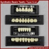 Dental Synthetic Resin Teeth