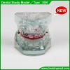 Dental functional appliance study model