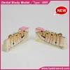 Dental study model