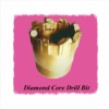 Diamond Coal Drill Bit