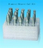 Diamond Mounted Points 20 PCS