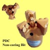 Diamond Non Core Drill Bit