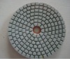 Diamond Polishing Pad