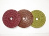 Diamond five step polishing pad