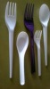 Disposable Plastic Fork & Spoon