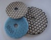 Dry Diamond Polishing Pads