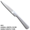 Durable Stainless Steel Pocket Knife 4810