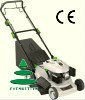 EBT001 Petrol Hedge Trimmer