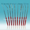 Electroplated Diamond special shaped Files