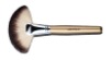 Fan Brush