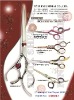 Fashion Design Professional Hair Scissors