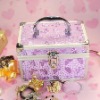 Fashion cosmetic Aluminum tool bag,tool case(Hi18314)
