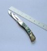 Fashionable Classic Pocket Knife With Shell Handle