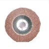 Flap Disc