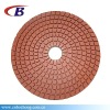 Flexible Polishing Pad