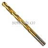 Fully Ground HSS Straight Shank Twist Drill Bit