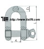 G-210 SCREW PIN CHAIN SHACKLE