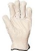 Garden Glove / Working Glove