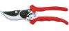 Garden Scissor