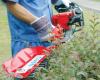 Gas Powered cordless hedge trimmer