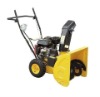 Gasoline Snow Thrower
