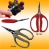 Grape scissors pruning shears