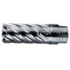 HSS broach cutter