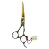 Hair Beauty Scissor