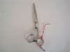Hair Beauty Scissors