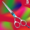 Hair Beauty Shear(LX805B)