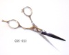 Hair Cutting Scissors