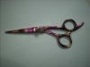 Hair Cutting Shears