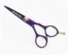 Hair Scissor (PLF-50BC)